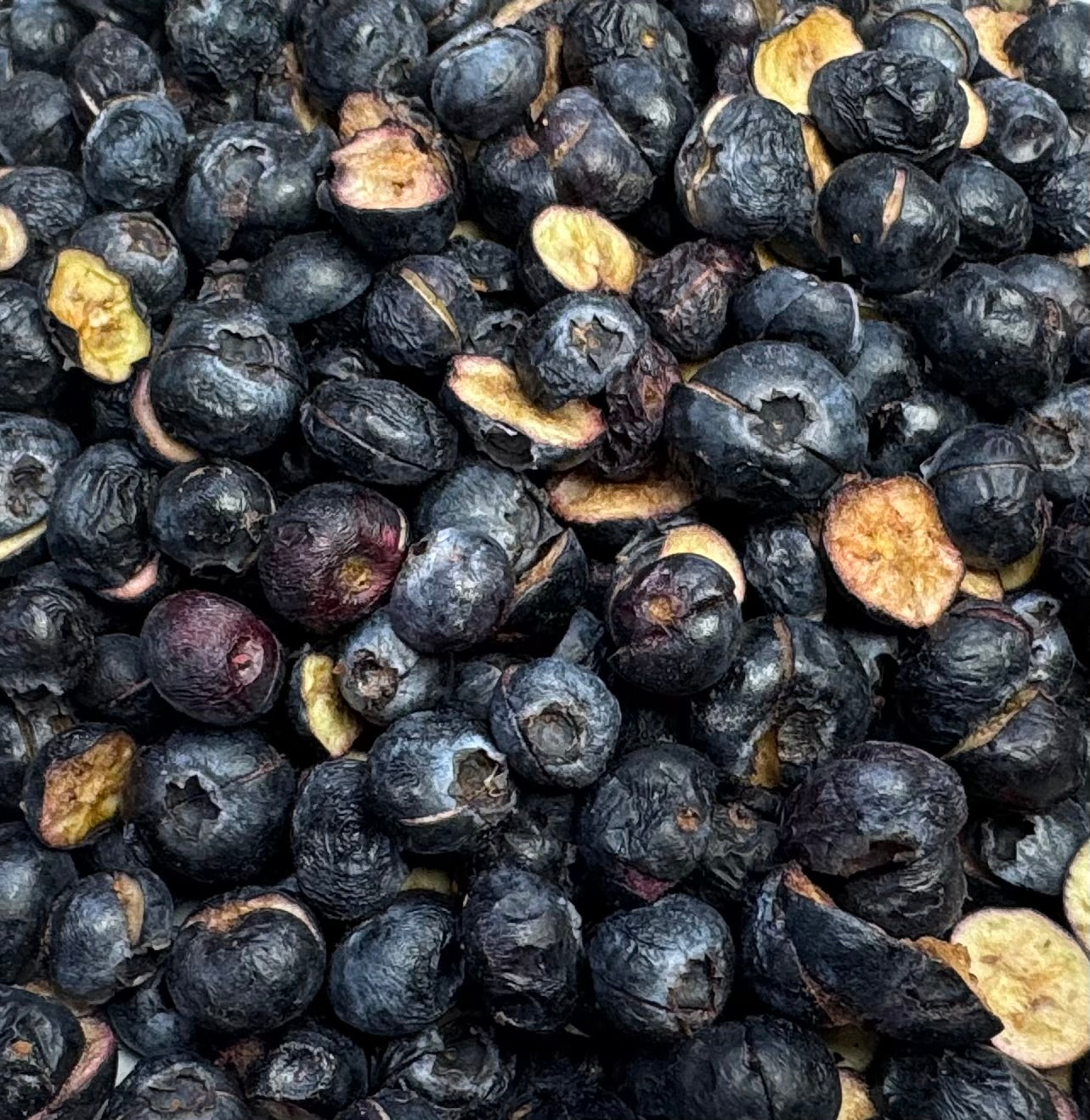 Freeze Dried Fruits
