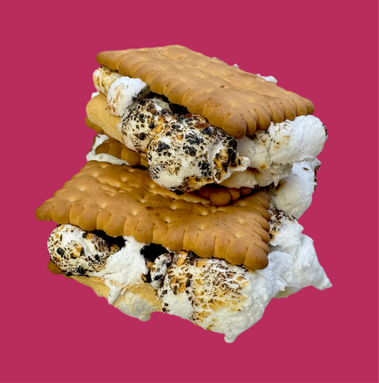Fairy Bite S’mores