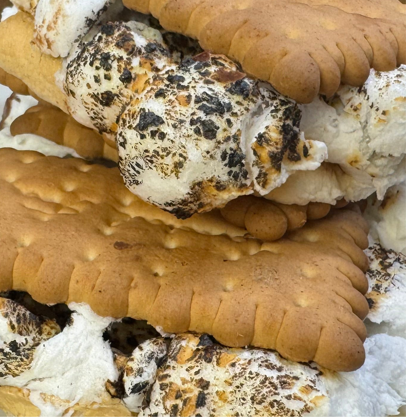 Fairy Bite S’mores